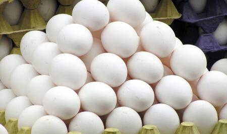 صادرات تخم مرغ تنها راه حل تعادل قیمت در بازار