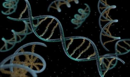 طراحی و ساخت دستگاه تکثیر ژن (PCR) در دانشگاه صنعتی شریف