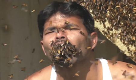صحنه عجیب و حیرت انگیز ازارتباط یک مرد با زنبورها+فیلم