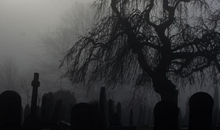 قبرستان‌های جالبی که بد نیست قبل از مرگ به آن‌ها سر بزنید+تصاویر