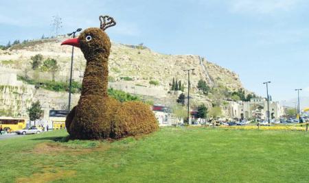 طاووس بد قدم دروازه شیراز آتش گرفت