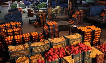 لغو ممنوعیت صادرات سیب درختی و پرتقال 