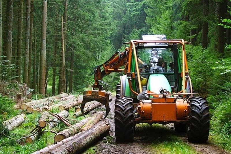 کشف ۱۸ تن چوب جنگلی قاچاق و دستگیری ۳ متهم