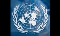 UN Calls for Inquiry into Palestinian Death