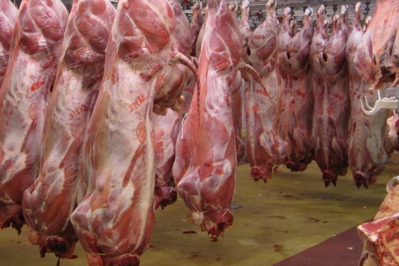 اختصاص ارز نیما بر واردات گوشت تاثیری نداشته است