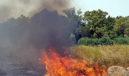  آتش‌سوزی گسترده در مرکز سرزمین‌های اشغالی +تصویر