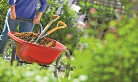 آشنایی با اصول باغبانی