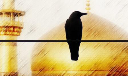 موزیک-انیمیشن| «کلاغ رو سیاه» با صدای محسن چاوشی