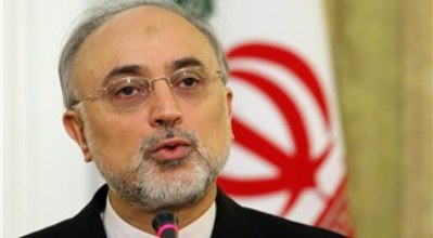 طول کشیدن ساخت نیروگاه بوشهر سبب انتقال تکنولوژی آن به داخل کشور شد