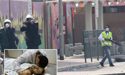 States Express Concern over Human Rights Conditions in Bahrain44