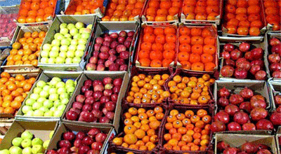 آمادگی برای عرضه مستقیم میوه شب عید