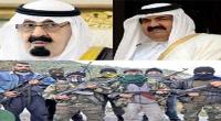 تلاش سلفی های قطر و عربستان برای عدم عادی سازی روابط ایران و مصر