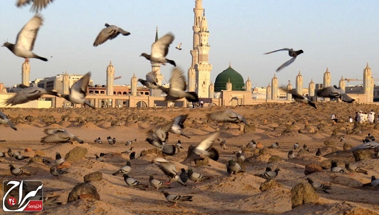 ماجرای تخریب بهشت بقیع /فیلم