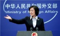 چین اقدام مخالفان سوریه در ربایش ماموران سازمان ملل را محکوم کرد