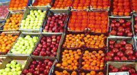قیمت میوه در میادین تره بار