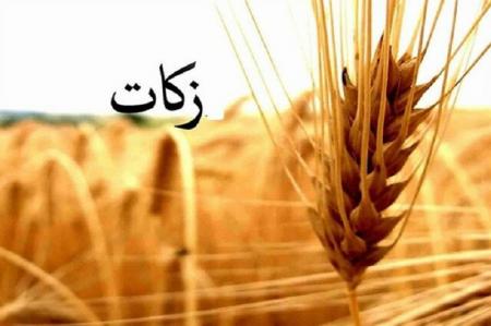  کشاورزان اسدآبادی ۱.۲ میلیارد تومان زکات پرداخت کردند