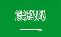 Lawyer of Saudi Activists Accuses Riyadh of Interference, Escalation