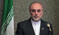 Iran Hopeful about Removal of West's Sanctions in Near Future
