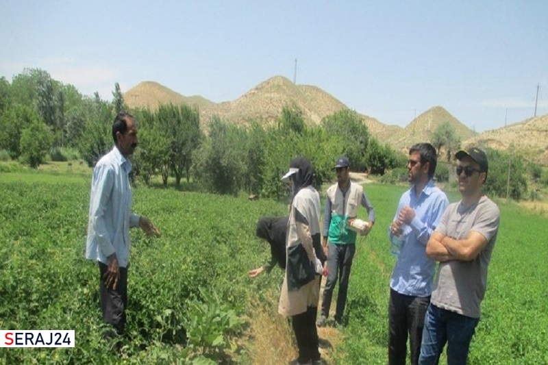 لزوم بهره‌گیری از ظرفیت جوانان متخصص با هدف توسعه پایدار جوامع روستایی