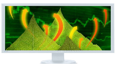 مانیتورهای جدید Eizo با قابلیت سنسور تشخیص حضور