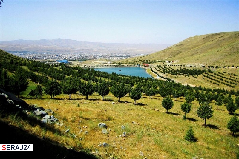 تلاش همگانی برای توسعه طلای سبز در استان مرکزی
