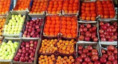 60 هزار تن میوه انباری درجه‌یک در راه بازار/فروش با تخفیف 20درصدی