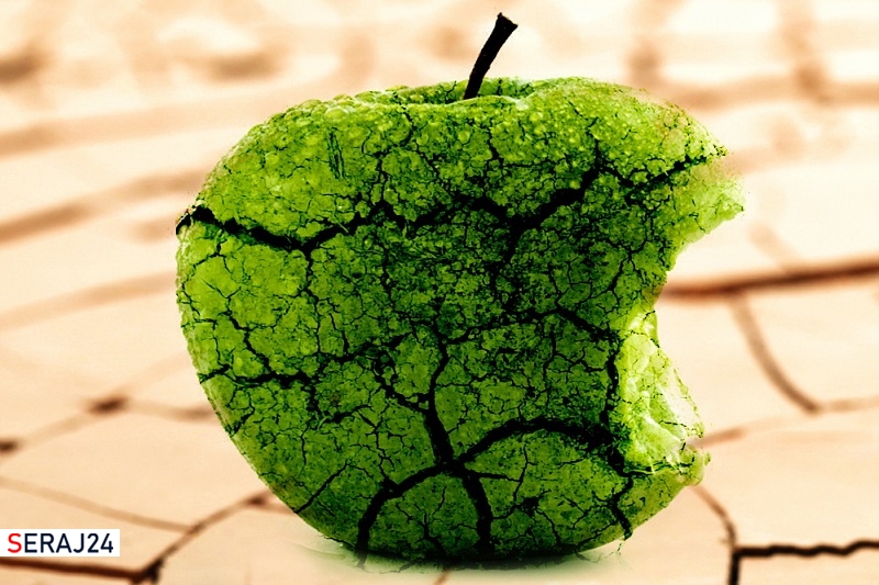 سه نشانه اسرافکار