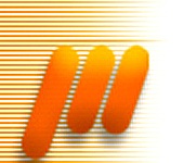 خانه ای با حباب برف در روز عید