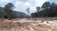 افزایش روند تخریب جنگل‌ها/ وزیر پاسخگوی دغدغه های رهبری باشد