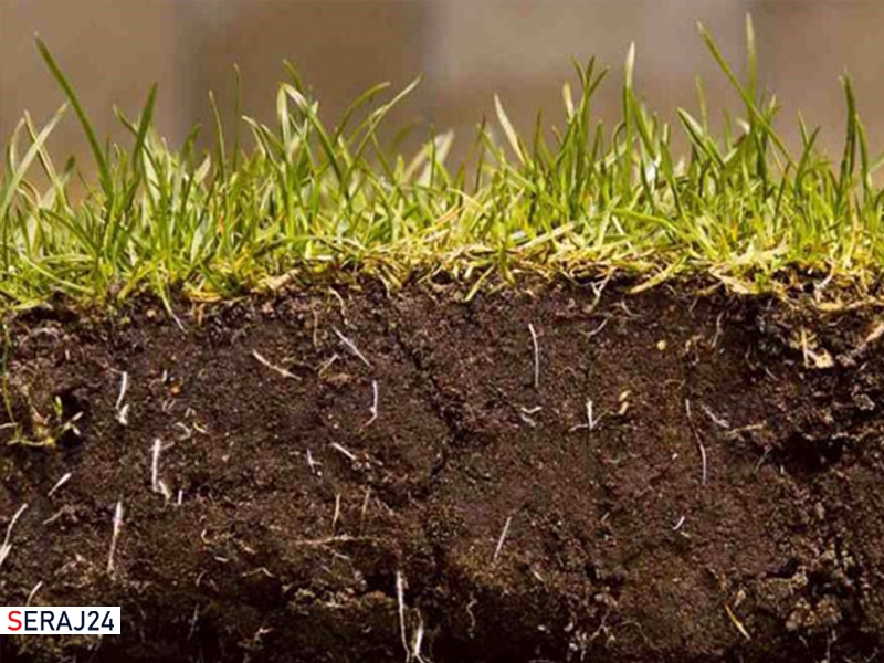 افزایش شوری خاک در همدان/ میانگین فرسایش سالانه خاک بین ۴ تا ۱۷ تن است