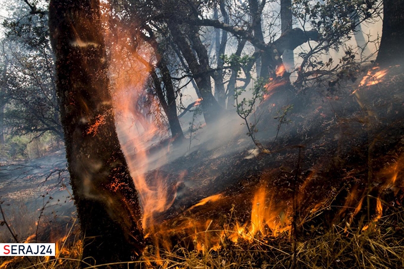 دومین آتش‌سوزی جنگل‌های چالوس خاموش شد