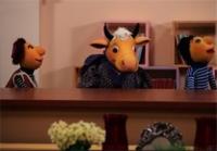 انتقادات تند به برنامه‌های کودک تلویزیونی در «کلاه قرمزی 92»
