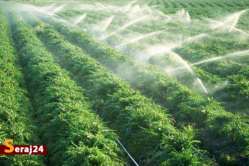 شبکههای فرعی آبیاری ۲۲۷ هزار هکتار از اراضی غرب و شمال غرب کشور در حال اجراست
