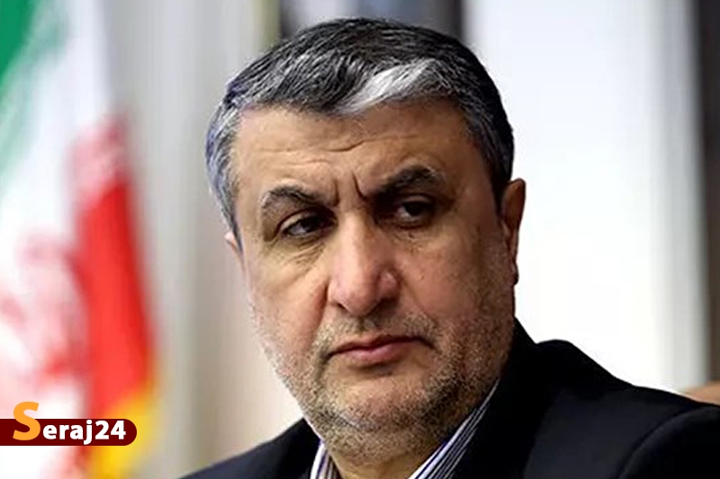 حتی با لغو تحریم‌ها غنی‌سازی 20 درصد ادامه دارد/ تولید کیک زرد 10 برابر می‌شود