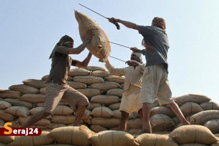 واردات ۱ میلیون تن برنج از ابتدای سال