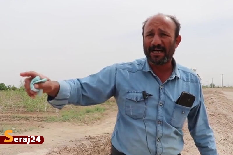 ویدئو/ خسارات میلیاردی که سرمازدگی به باغات استان یزد وارد کرد