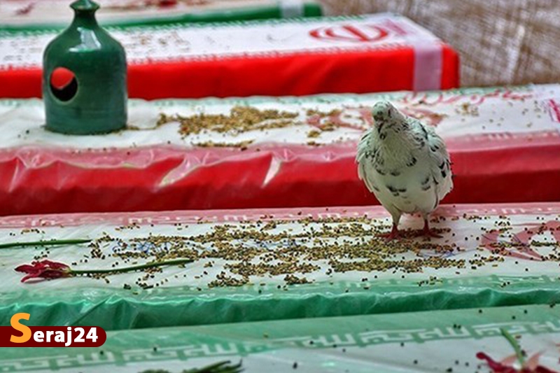 البرز 380 شهید کارگر را تقدیم انقلاب اسلامی کرده است