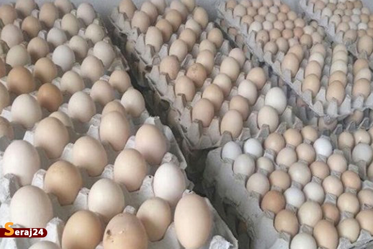 قیمت تخم مرغ در بازار به مرور کمتر از نرخ مصوب خواهد شد