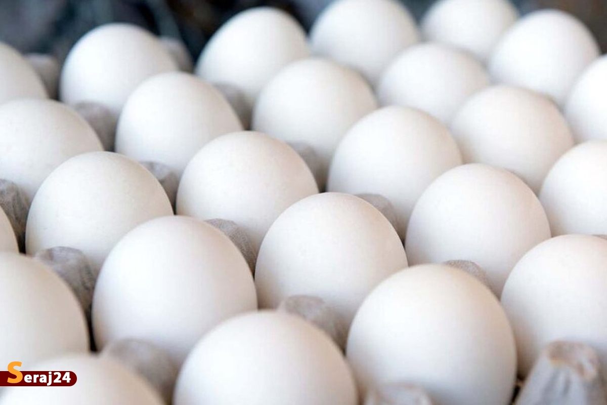 ویدئو/ مشکلی در عرضه تخم مرغ وجود ندارد