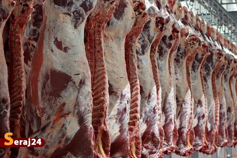 کشور نیازی به واردات گوشت قرمز ندارد/ قیمت دام زنده تغییری نکرده است