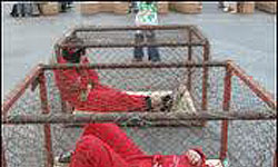 Official Count in Guantanamo Hunger Strike Rises to 41