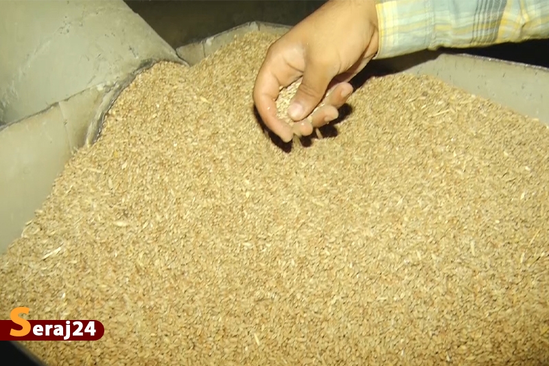 پنج هزار تُن گندم احتکار شده در مینودشت کشف شد
