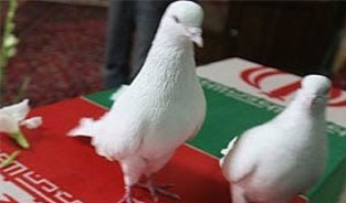 جانباز فتنه 88 به یاران شهیدش پیوست