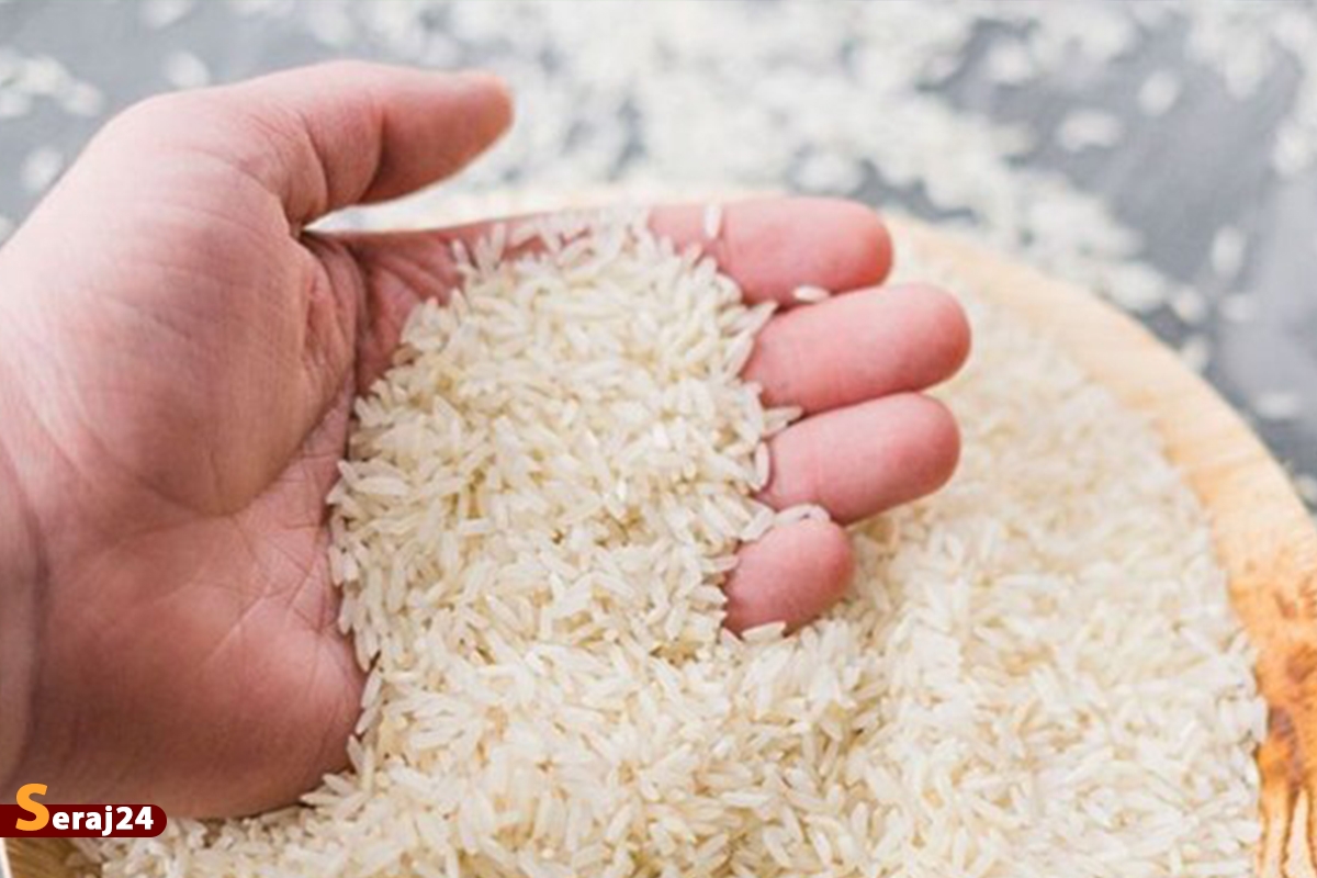 قیمت برنج ایرانی در سراشیبی قرار گرفت/4 راهکار برای تثبیت قیمت
