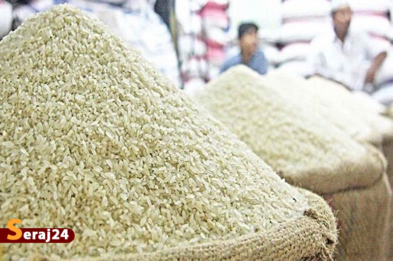 قیمت خرید تضمینی برنج هفته آینده اعلام می شود
