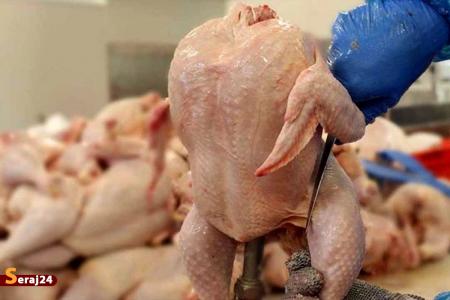 کاهش قیمت مرغ به 40 هزار تومان