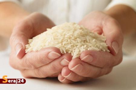 کاهش قیمت برنج ایرانی تا ۳۳ هزار تومان