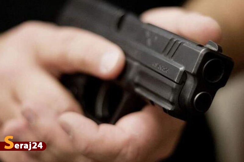 ثبت بالاترین آمار قتل و خودکشی با سلاح گرم در آمریکا
