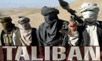 Senior Taliban Leader Arrested in S. Afghan Operation
