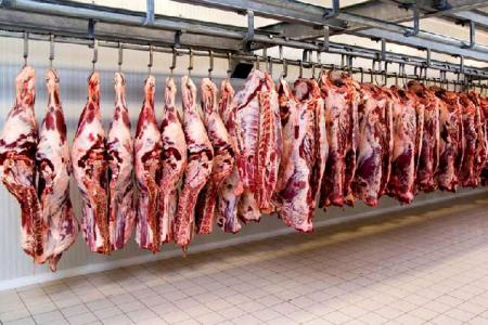 کاهش قیمت | توزیع گسترده گوشت قرمز منجمد به نرخ دولتی
